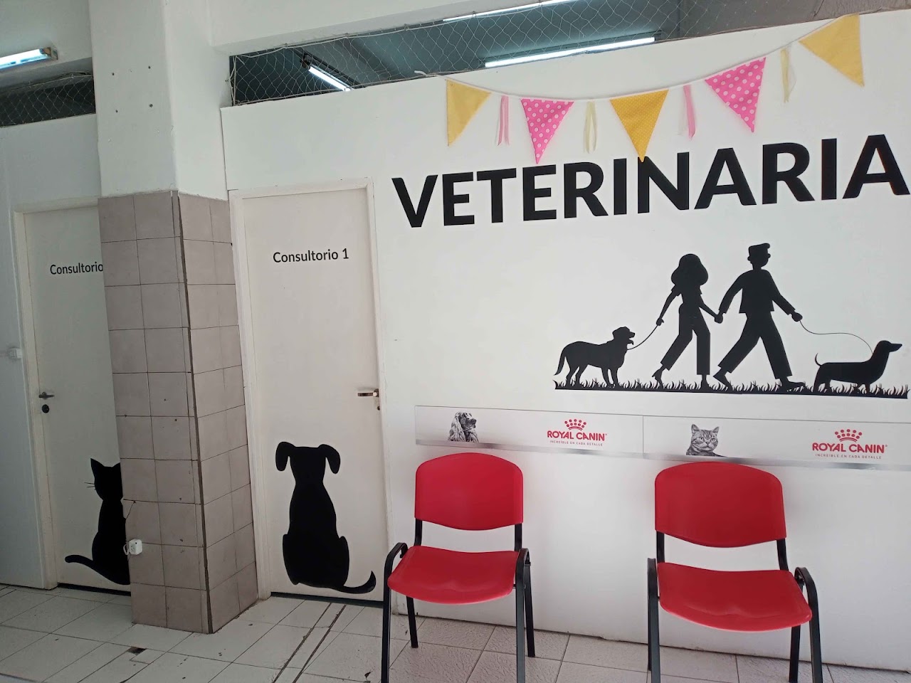Doctora veterinaria en consultorio canino luminoso de Veterinaria Marie Curie Flores