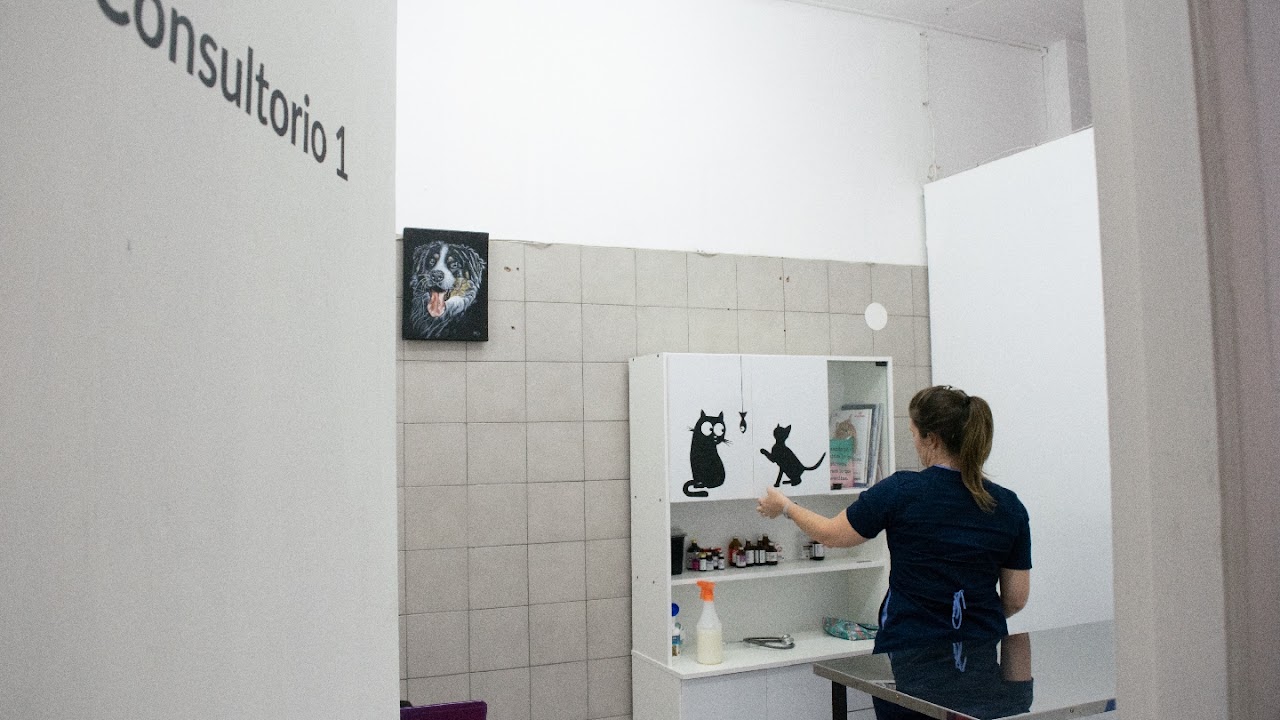 Consultorio principal y atención canina en Veterinaria Marie Curie