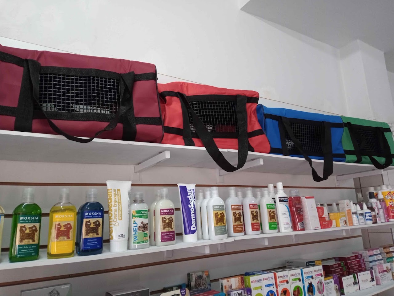 Sala de diagnóstico clínico y ecografía en Veterinaria Marie Curie